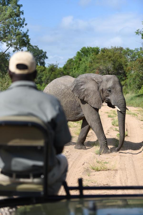 Shumbalala Game Lodge Thornybush Doğa Koruma Alanı Dış mekan fotoğraf