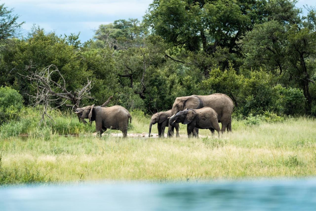 Shumbalala Game Lodge Thornybush Doğa Koruma Alanı Dış mekan fotoğraf