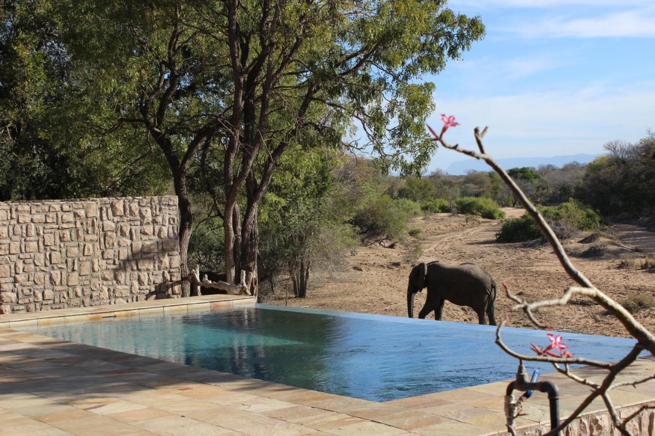 Shumbalala Game Lodge Thornybush Doğa Koruma Alanı Dış mekan fotoğraf